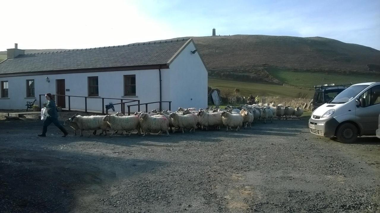 Knockaloe Beg Farm Bed & Breakfast Patrick Luaran gambar